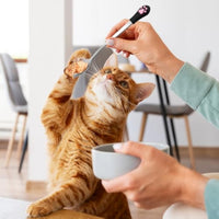 HKM-0904509 Stainless Steel Dog & Cat Food Spoons with Long Handle - 2 Pack in White & Black with Cute Paw Print Design