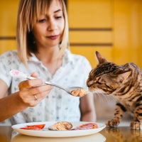 HKM-0904509 Stainless Steel Dog & Cat Food Spoons with Long Handle - 2 Pack in White & Black with Cute Paw Print Design