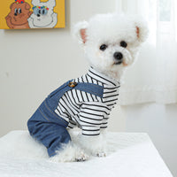 HKM-0905661 Cute Bear Bubble Overalls for Dogs - Various Sizes Available