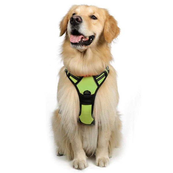 HKM-0906301 Adjustable Nylon Chest Strap Vest Leash for Large Dogs - Multiple Sizes and Colors Available