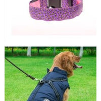 HKM-0908989 LED Pet Safety Collar with Adjustable Nylon and Leopard Print Design