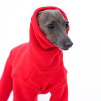 HKM-0909373 Cozy Red Lamb Wool Dog Fashion Clothes for All Sizes