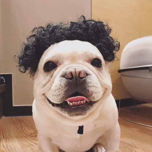 HKM-0911805 Dog Head Ornament - Fashionable Pet Wig for Parties - Multiple Colors Available