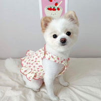 HKM-0912573 Summer Dog Halter Skirt in Red, Yellow, and Pink - Coral Fleece, Sizes XS-XL