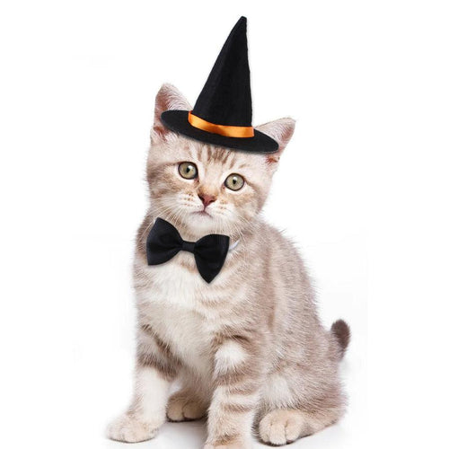HKM-091731 Halloween Pet Costume with Wizard Hat and Bow Tie, Red and Black Cloth, Casual Style