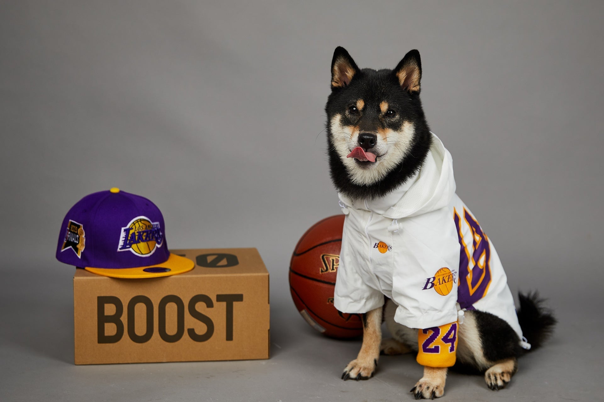 HKM-0920125 Basketball Shell Jacket for Pets in Various Sizes