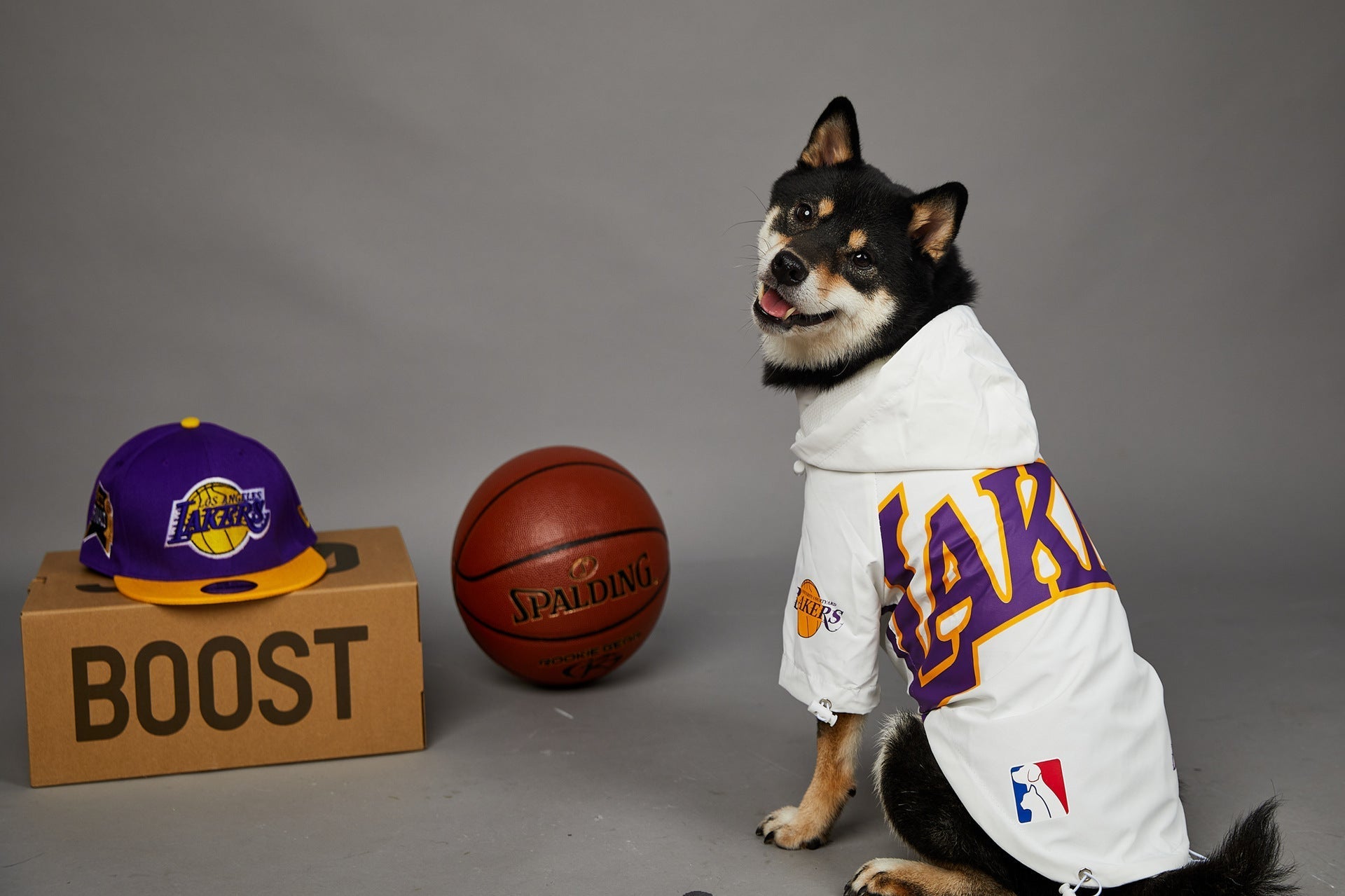 HKM-0920125 Basketball Shell Jacket for Pets in Various Sizes