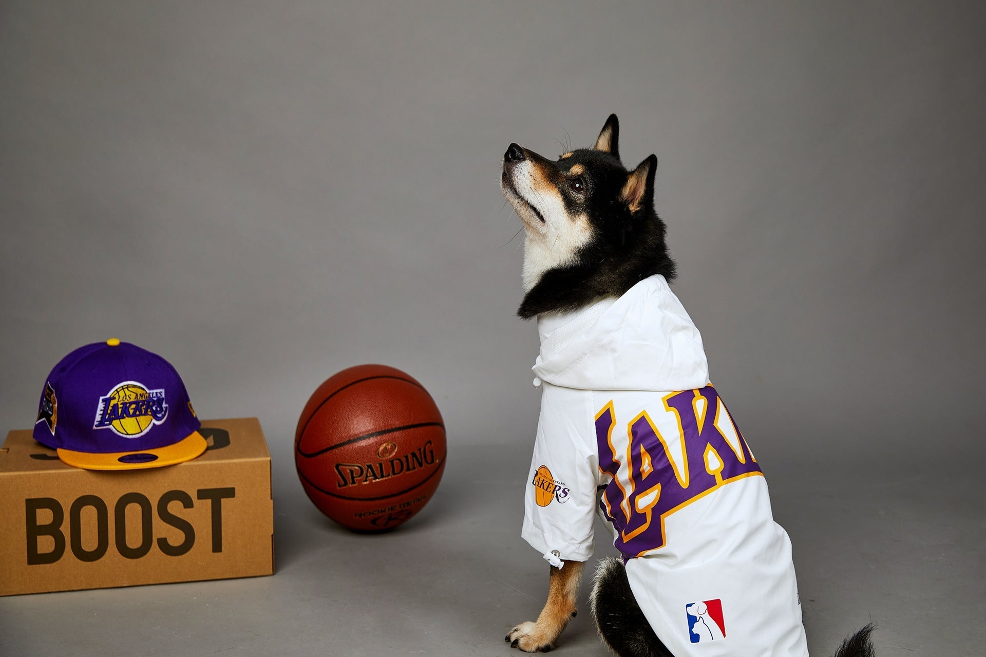 HKM-0920125 Basketball Shell Jacket for Pets in Various Sizes