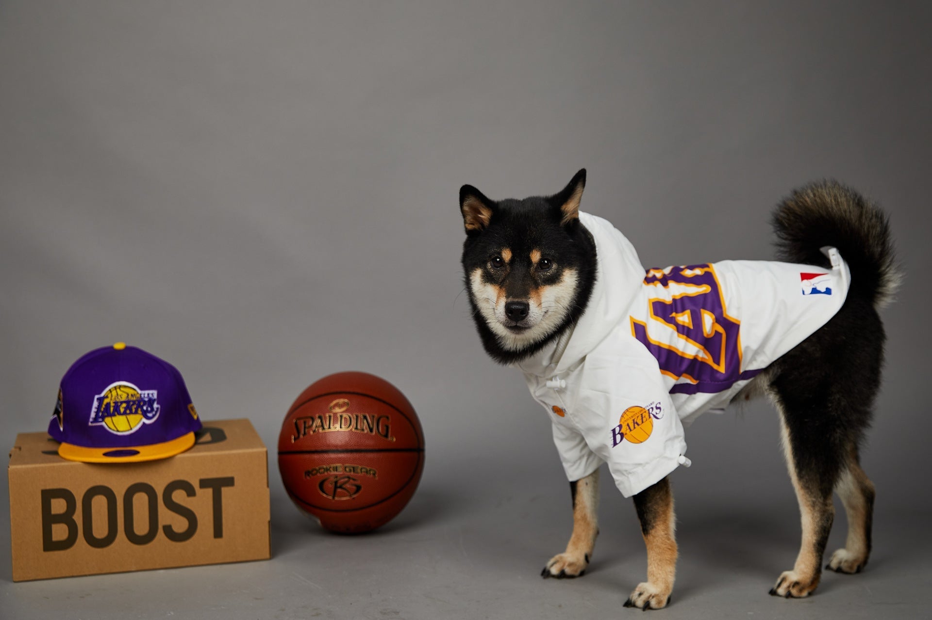 HKM-0920125 Basketball Shell Jacket for Pets in Various Sizes