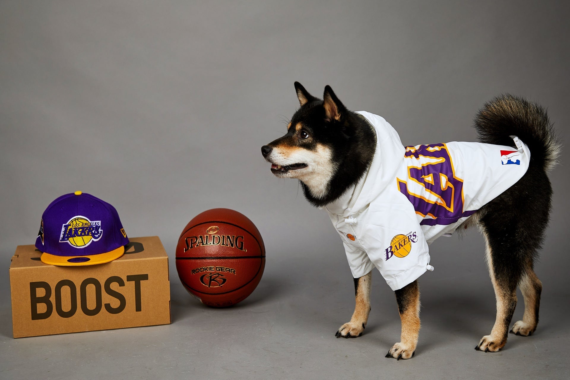 HKM-0920125 Basketball Shell Jacket for Pets in Various Sizes