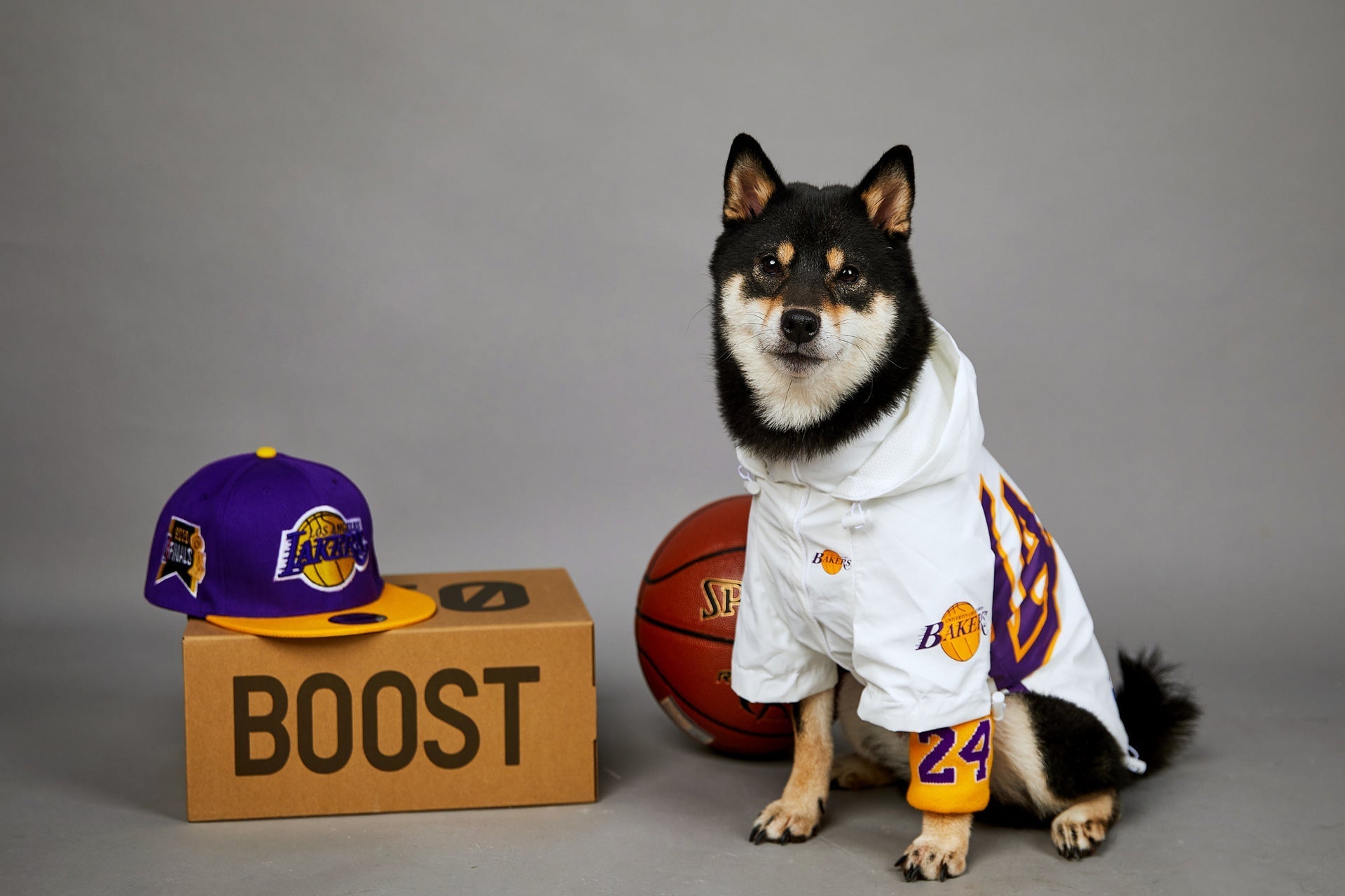 HKM-0920125 Basketball Shell Jacket for Pets in Various Sizes