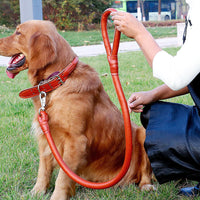 HKM-0928061 Dog Walking Leash Set with Adjustable Collar - Durable PU Material, Multiple Sizes Available