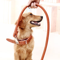 HKM-0928061 Dog Walking Leash Set with Adjustable Collar - Durable PU Material, Multiple Sizes Available