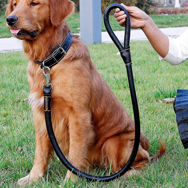 HKM-0928061 Dog Walking Leash Set with Adjustable Collar - Durable PU Material, Multiple Sizes Available