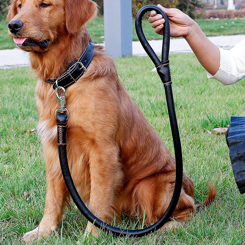 HKM-0928061 Dog Walking Leash Set with Adjustable Collar - Durable PU Material, Multiple Sizes Available