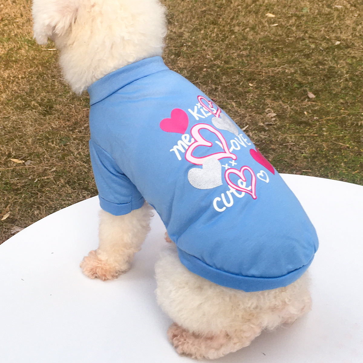 HKM-0932413 KISS Colorful Round Neck Pet T-Shirt with Raglan Sleeves - Cotton Blend, Short Sleeve