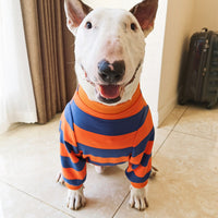 HKM-0946109 Cute Striped Pet T-Shirt in Orange and Blue for Dogs, Available in Sizes S to 3XL