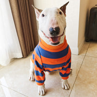 HKM-0946109 Cute Striped Pet T-Shirt in Orange and Blue for Dogs, Available in Sizes S to 3XL
