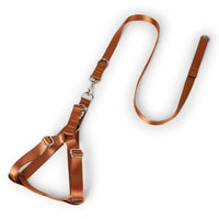 HKM-0949309 Adjustable Polyester Dog Leash with Golden Wool Edge for Large Breeds