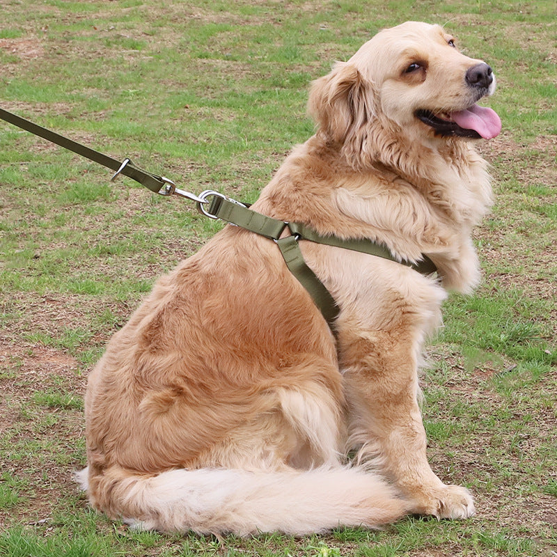 HKM-0949309 Adjustable Polyester Dog Leash with Golden Wool Edge for Large Breeds