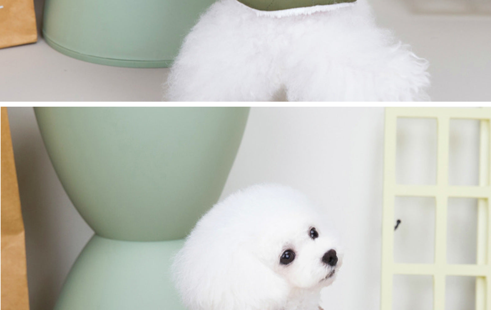 HKM-0949949 Cotton Dog Coat with Fur Collar in Green, Pink, and Purplish Blue - Available in S to XXL