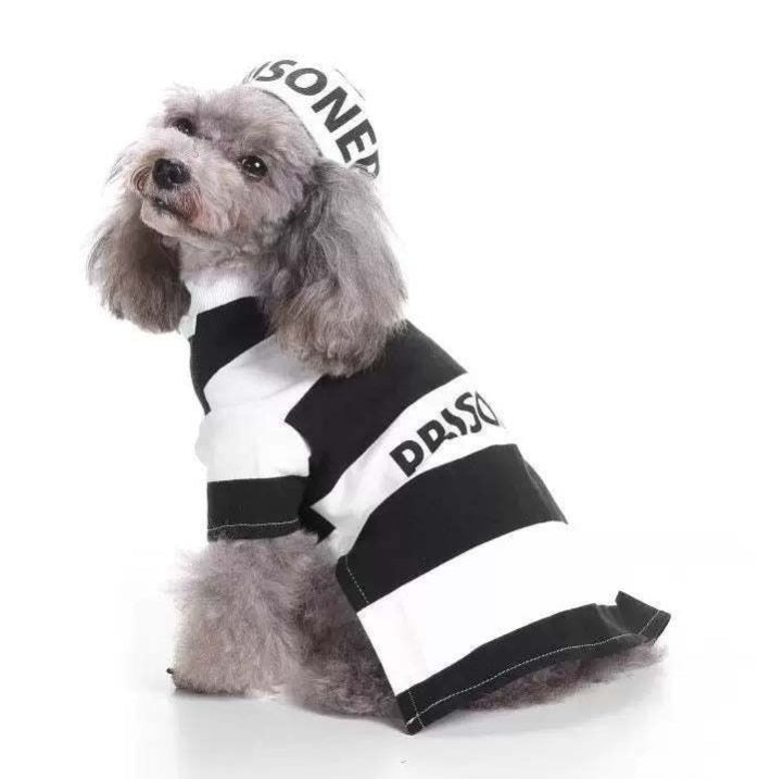 HKM-095059 Festive Knitted Pet Sweater with Hat - Size S, M, L, XL, Casual Style