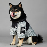 HKM-0952893 Large Dog Shell Jacket in Waste Paper Print - Sizes S to 5XL