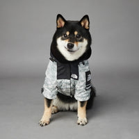 HKM-0952893 Large Dog Shell Jacket in Waste Paper Print - Sizes S to 5XL
