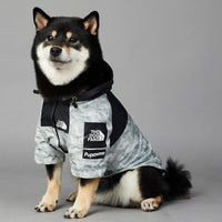 HKM-0952893 Large Dog Shell Jacket in Waste Paper Print - Sizes S to 5XL