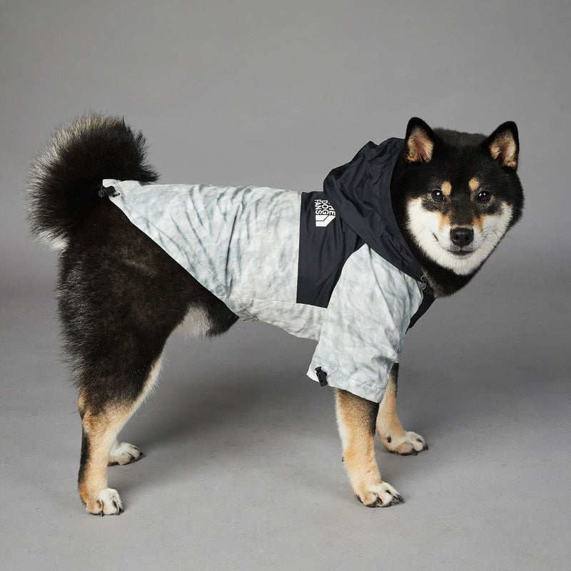 HKM-0952893 Large Dog Shell Jacket in Waste Paper Print - Sizes S to 5XL