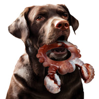 HKM-0953917 Durable Nylon Dog Chewing Toy in Various Beef Flavors