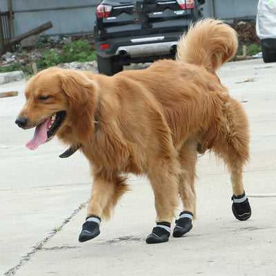 HKM-0957885 Wear-Resistant Breathable Dog Shoes with Reflective Tape and Rubber Outsole