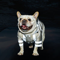 HKM-0965181 Transparent Reflective Waterproof Dog Raincoat for Small to Medium Breeds