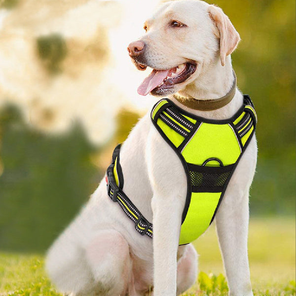 HKM-0966077 Adjustable Pet Traction Rope Chest Strap in Black, Red, Green ¨C Available in M, L, XL, XXL