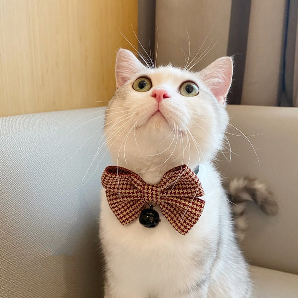 HKM-0974781 Stylish Pet Collar with Bow Tie Decoration - Available in Multiple Colors and Sizes