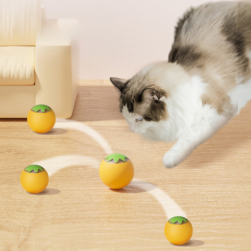 HKM-0979773 Electric Teaser Ball for Dogs and Cats - Automatic Interactive Toy for Indoor Play and Dental Care