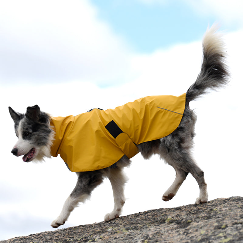 HKM-0985661 Waterproof Windproof Raincoat for Dogs - Sports Style Pet Shell Jacket in Yellow and Orange