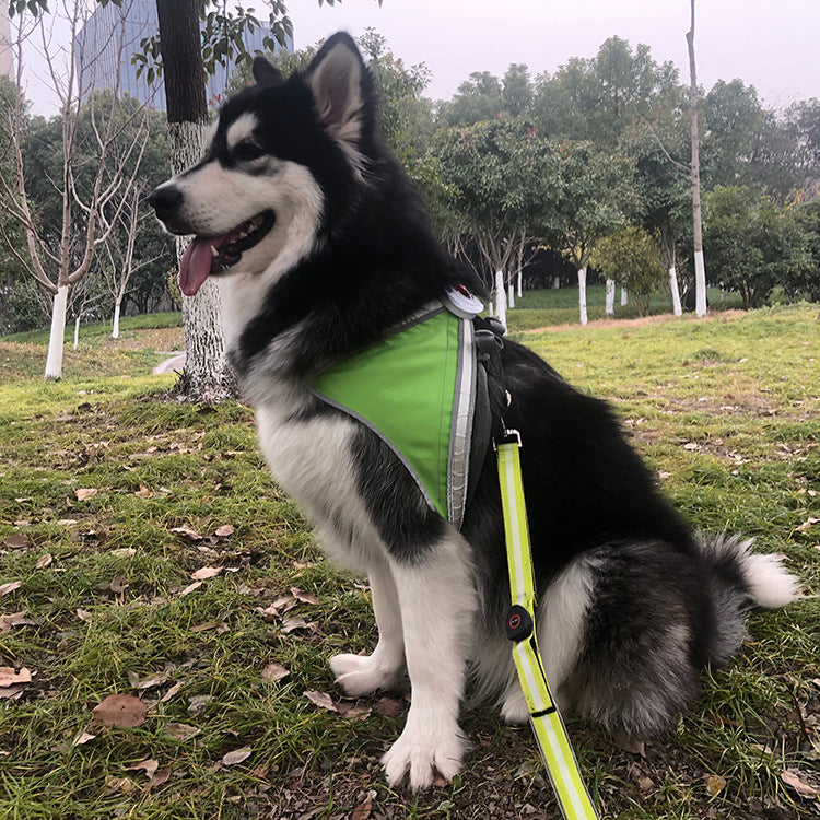 HKM-0987325 USB Rechargeable White Chest Strap for Enhanced Comfort and Support
