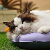 HKM-0988093 Durable Waved Bear Shaped Pet Ice Mat Cushion, PVC & Gel, Sizes M & L
