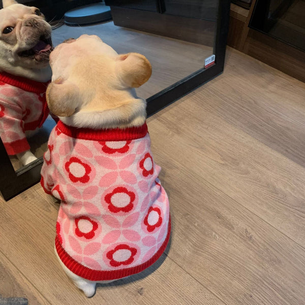 HKM-0997565 Jacquard Wool Dog Sweater for Autumn and Winter in Red