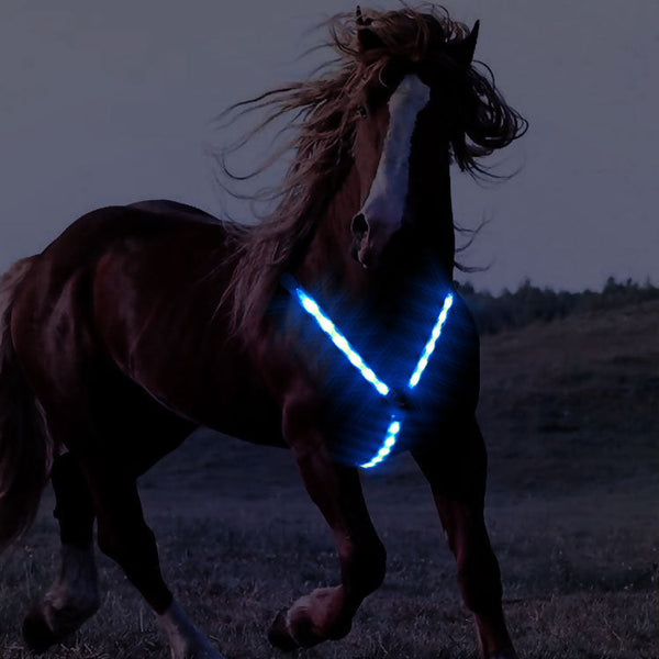 HKM-0998845 Luminous Chest Strap LED Cinch Harness for Horses - Polyester Material, Four Season Use