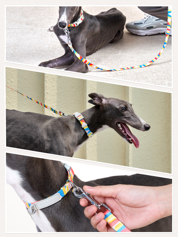 HKM-0999357 Nylon Traction Belt for Small, Medium, and Large Dogs - Adjustable Neck Size, 120cm Length, Blue or Yellow