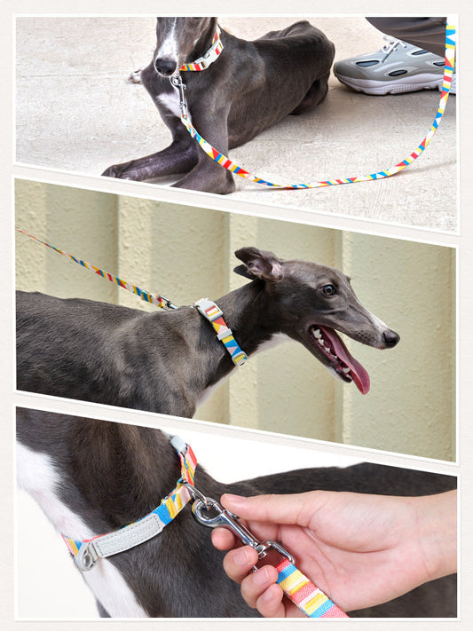 HKM-0999357 Nylon Traction Belt for Small, Medium, and Large Dogs - Adjustable Neck Size, 120cm Length, Blue or Yellow