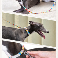 HKM-0999357 Nylon Traction Belt for Small, Medium, and Large Dogs - Adjustable Neck Size, 120cm Length, Blue or Yellow