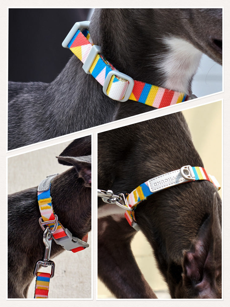 HKM-0999357 Nylon Traction Belt for Small, Medium, and Large Dogs - Adjustable Neck Size, 120cm Length, Blue or Yellow