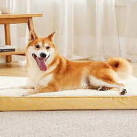 HKM-1003581 Removable and Washable Dog Cage Mat ¨C Soft Sponge Kennel Pet Pad in Various Colors and Sizes