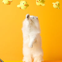 HKM-1006141 Automatic Gravity Duck Electric Cat Toy with Sound and Vibration - Rechargeable with Catnip