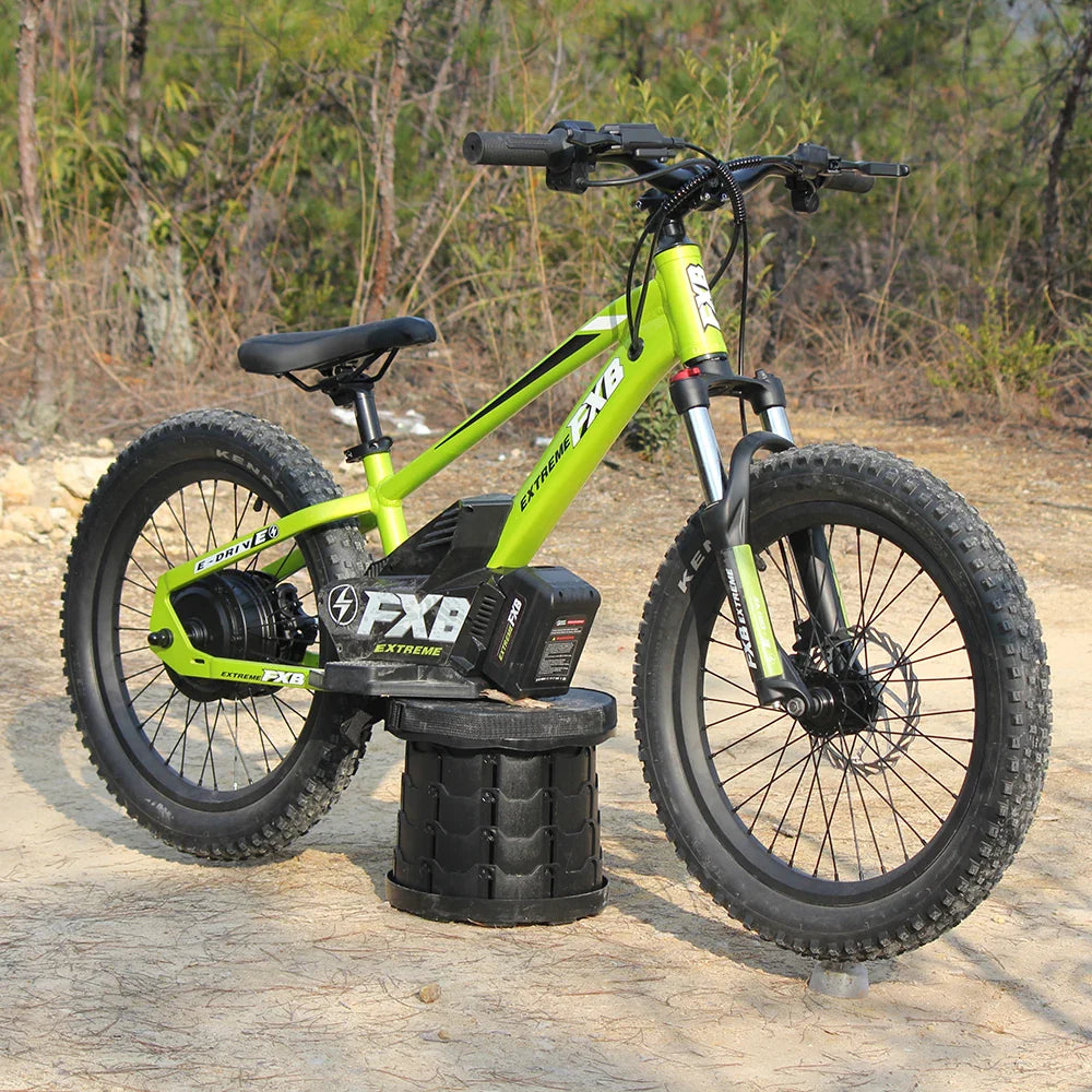 HKM-100819 Electric Balance Bike for Kids 20 Inch 36V 800W with Pedal, Aluminum Frame, Hydraulic Brake, 3 Speeds, Range 12-17km