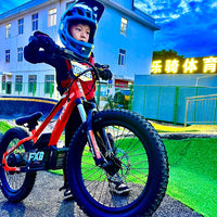 HKM-100819 Electric Balance Bike for Kids 20 Inch 36V 800W with Pedal, Aluminum Frame, Hydraulic Brake, 3 Speeds, Range 12-17km
