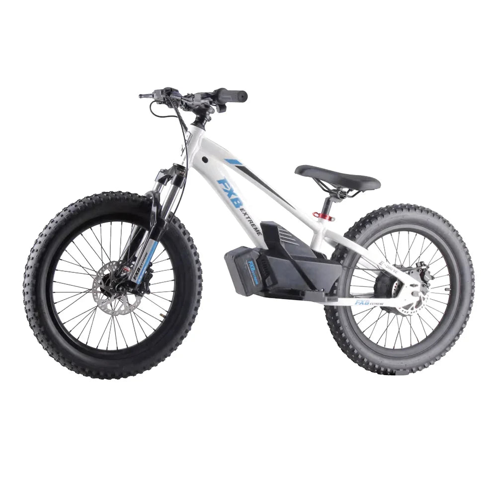 HKM-100819 Electric Balance Bike for Kids 20 Inch 36V 800W with Pedal, Aluminum Frame, Hydraulic Brake, 3 Speeds, Range 12-17km
